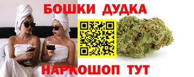 сатива Новозыбков