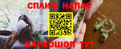 сатива Новозыбков