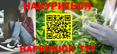 сатива Новозыбков