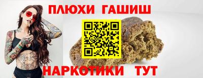 сатива Новозыбков