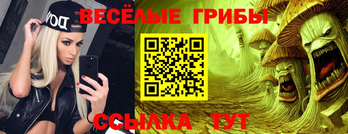Псилоцибиновые грибы Psilocybe Белая Калитва