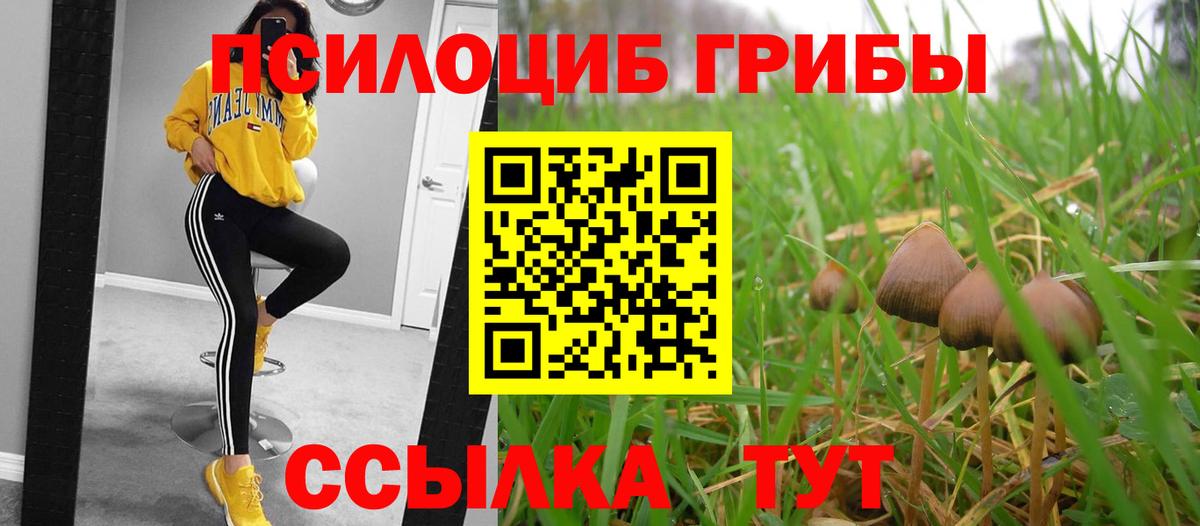 Белая Калитва  Галлюциногенные грибы MAGIC MUSHROOMS  Галлюциногенные грибы прущие грибы  Вход с VPN 